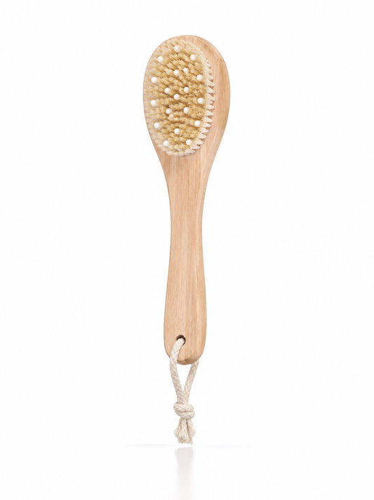 Dry Body Brush Set | 4-Piece